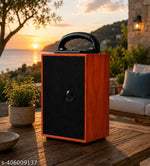 DJ-113 Bluetooth Portable Stereo Speaker