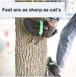 Multi Tool Tree Climbing Gear 1 Pair