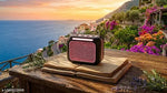DJ-113 Bluetooth Portable Stereo Speaker