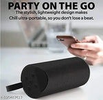 TG-113 High Bass 10w Bluetooth Speaker