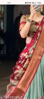 Gorgeous lengha choli